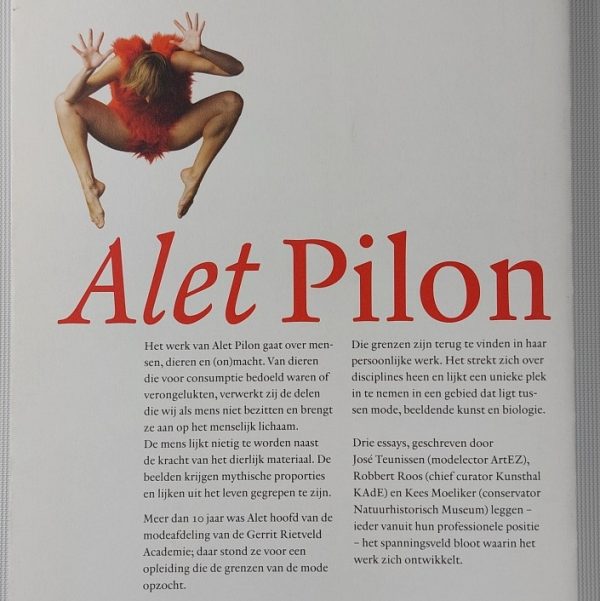 Alet Pilon Not Me